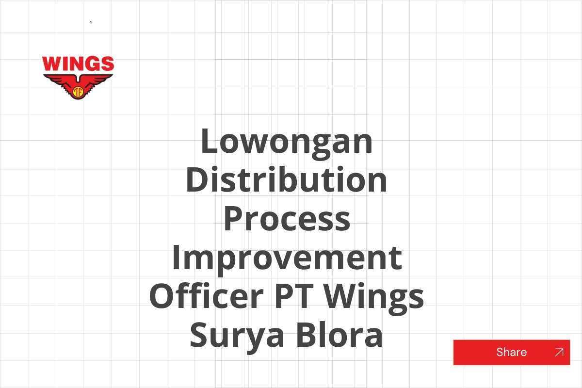 Lowongan Distribution Process Improvement Officer PT Wings Surya Blora