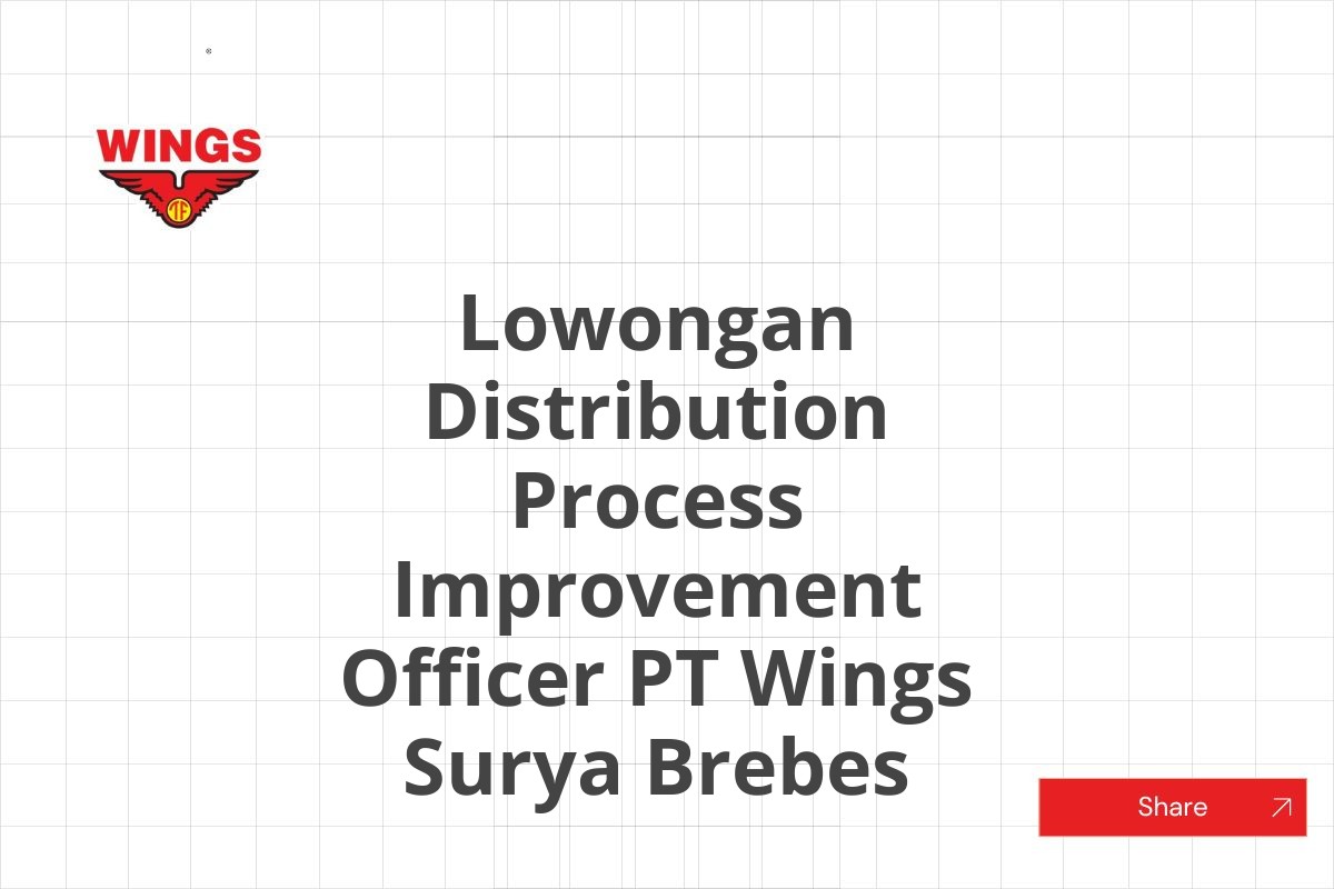 Lowongan Distribution Process Improvement Officer PT Wings Surya Brebes