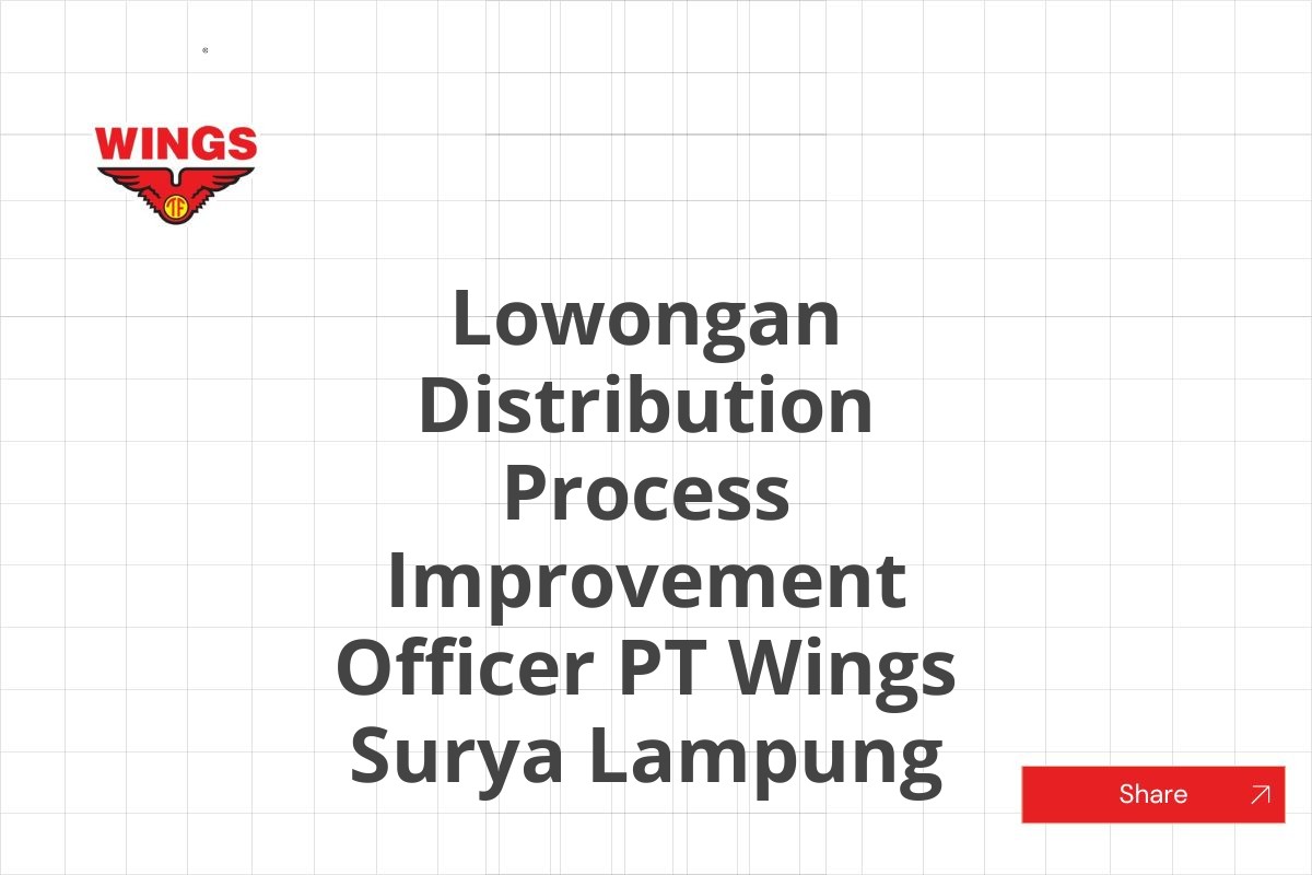 Lowongan Distribution Process Improvement Officer PT Wings Surya Lampung